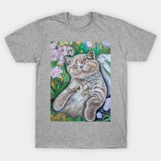 A Midsummer Day's Dream (Kitten) T-Shirt